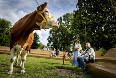 Week vol zachte temperaturen voor de tijd van het jaar