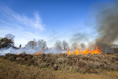 Op deze vijf plekken in Twente is de kans groot op een niet te stoppen natuurbrand (en dit gaat er t