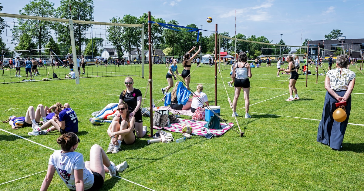 Generaties op het veld bij 50ste volleybaltoernooi in Millingen: ‘Kinderen spelen nu waar hun ouders