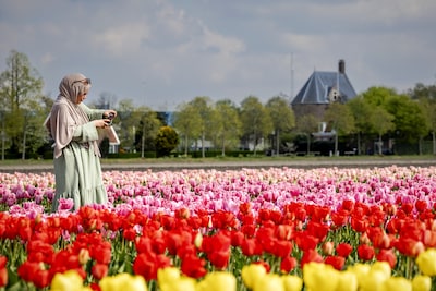 Na gure maandag knapt het weer op en stijgen ook de temperaturen