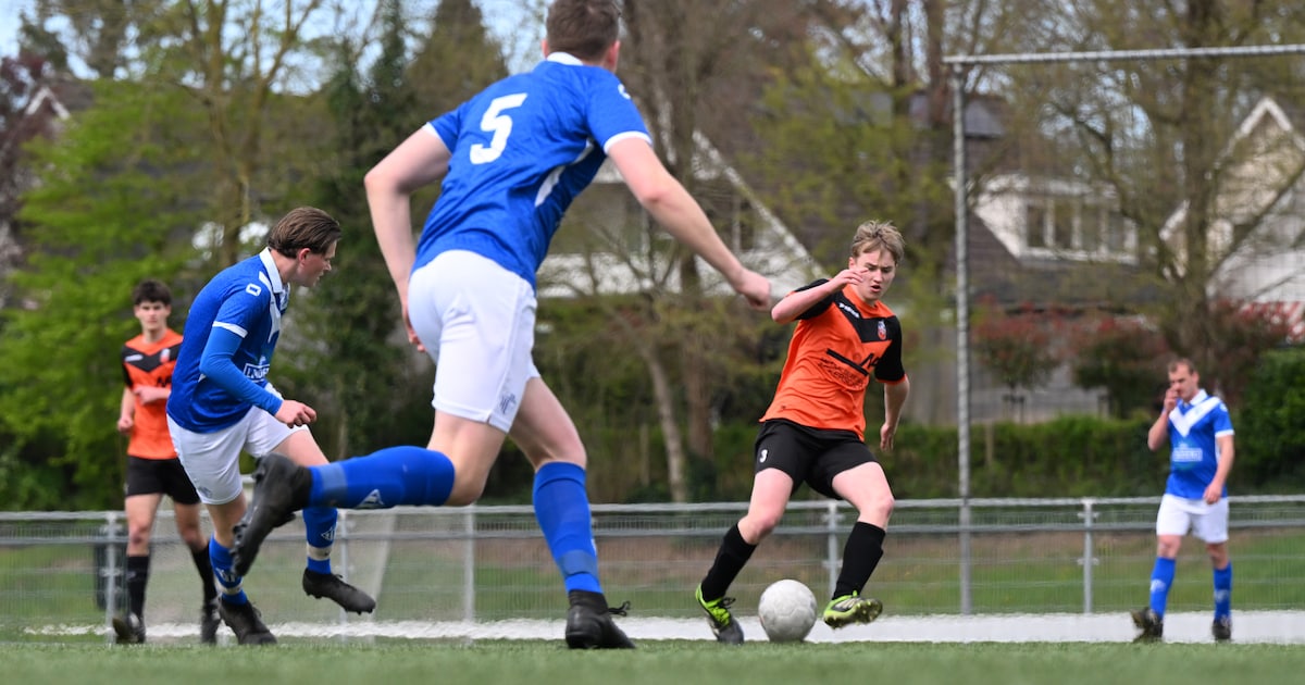 SES gedegradeerd • Volharding weggeblazen • Vitesse’08 herstelt zichzelf tegen Holthees