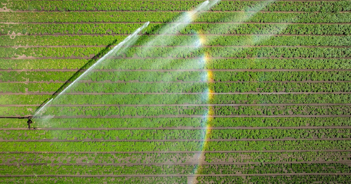 Waterschap scherpt waterverbod verder aan door extreme droogte