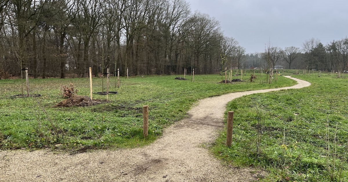 Nieuwe plantdag in Levensbomenbos Zeeland