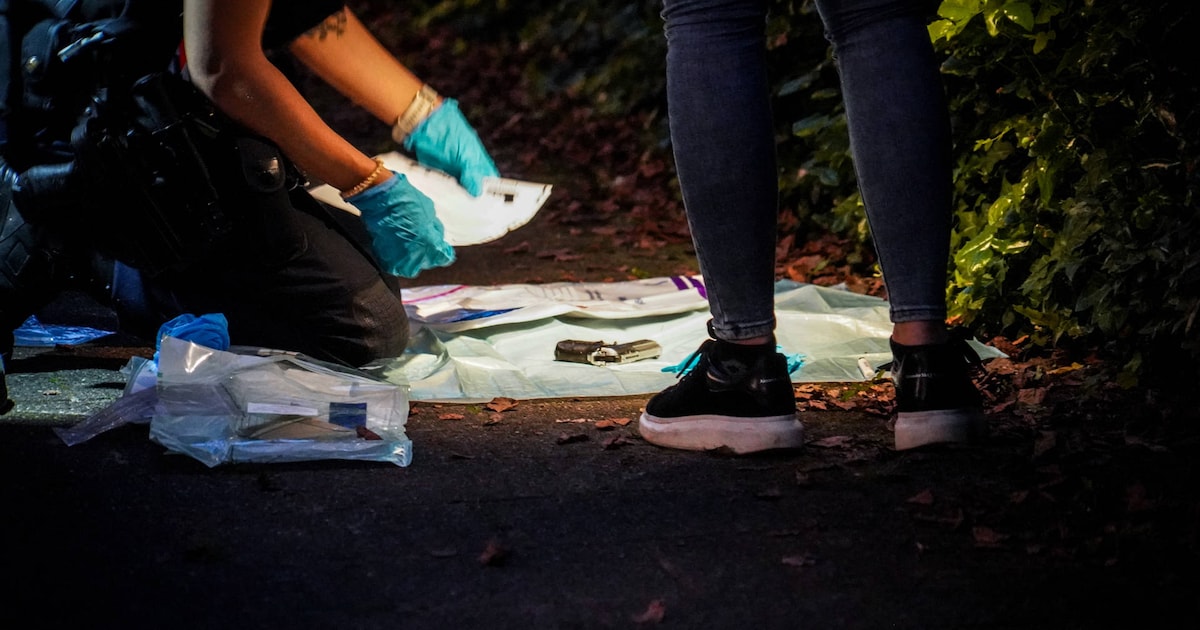 Pistool, messen, politie in kogelwerende vesten bij flat in Apeldoorn: dit was er aan de hand