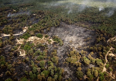 Natuurbrand Venray onder controle, vlammen verwoestten meer dan 100 hectare natuur