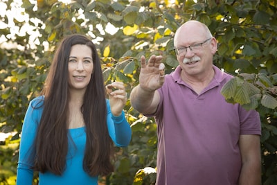 Voormalig veehouder Jan produceert met hazelnoten evenveel eiwit per hectare als met koeien