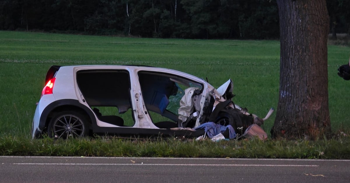 Drie gewonden bij eenzijdig ongeval op N319 in Winterswijk, traumahelikopter ingezet.