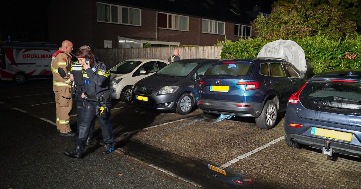 Is een pyromaan actief in Arnhem? Zes autobranden in oktober ...