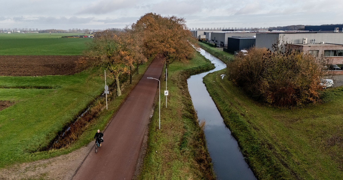 Ook bij Beuningse zwemmers en politici volop twijfels over gezamenlijk