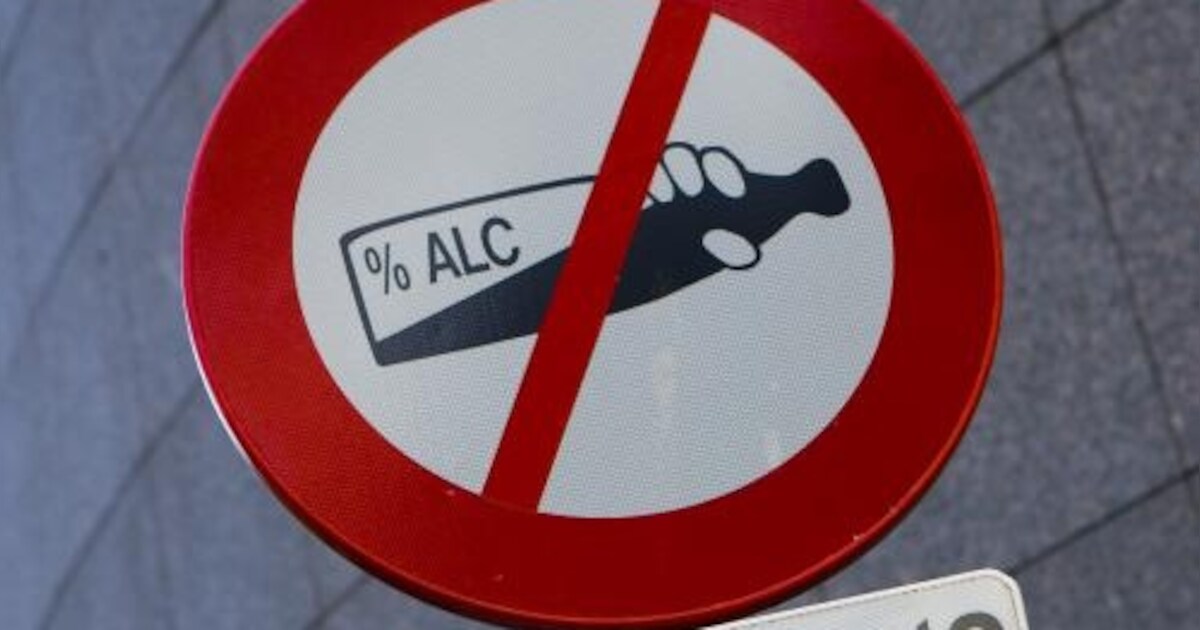 Onder invloed tegen een boom