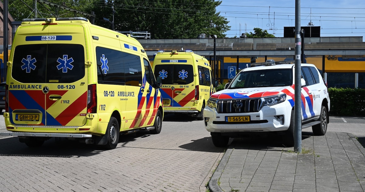Persoon overleden na aanrijding met trein bij Culemborg: station ontruimd en treinverkeer ligt stil