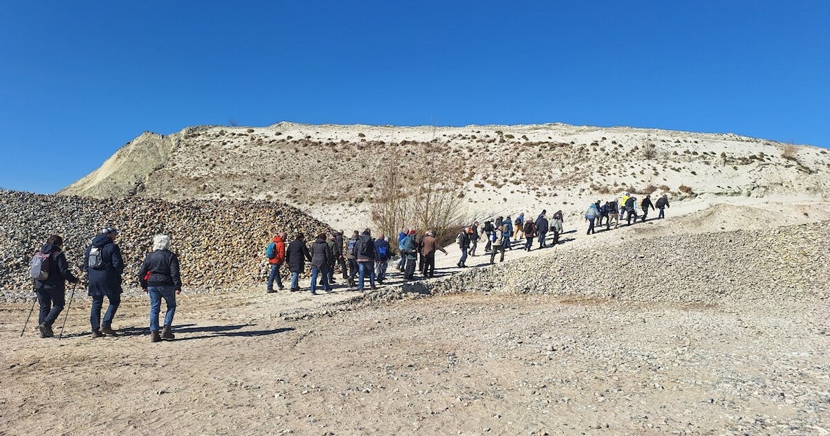 KNNV houdt natuurexcursie door De Banen en het Duitse Reichswald