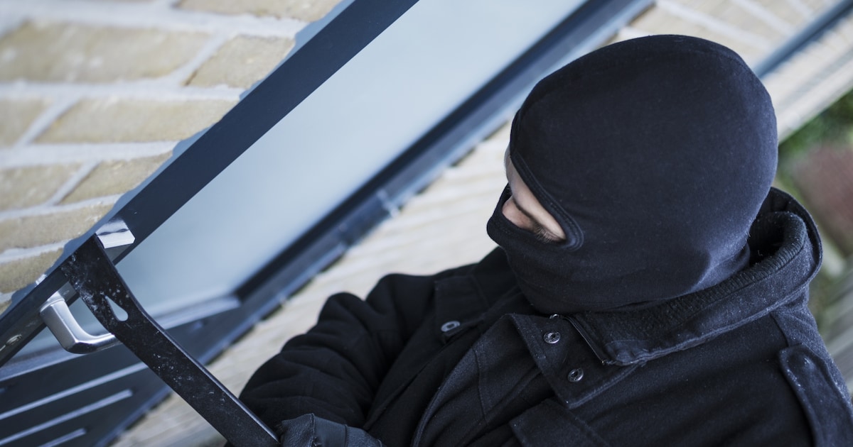 Twee Roemenen betrapt tijdens inbraak in Vragender