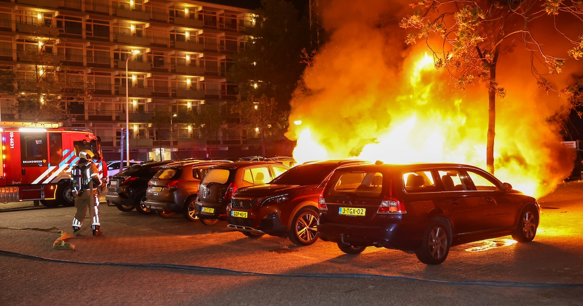 Vier auto's verwoest door nachtelijke brand in Zeist
