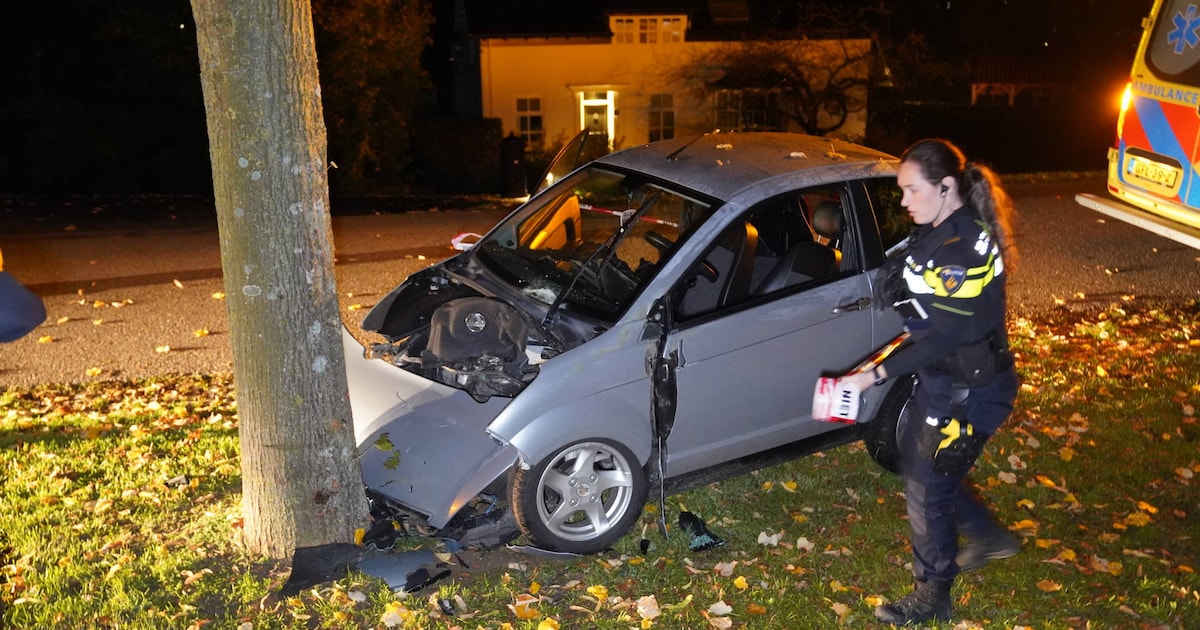 Brommobiel botst frontaal tegen boom in Zuilichem, voorbijganger treft gewonde bestuurder aan