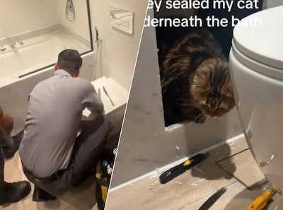 Bouwvakkers in Dubai metselen kat vast in badkamer