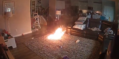 Hond krijgt accu te pakken en veroorzaakt brand in Amerikaans huis