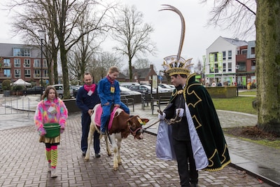 Lachend wachten tot het kalf poept, dierenclub ziet alleen stress: ‘Dit is gewoon mishandeling’