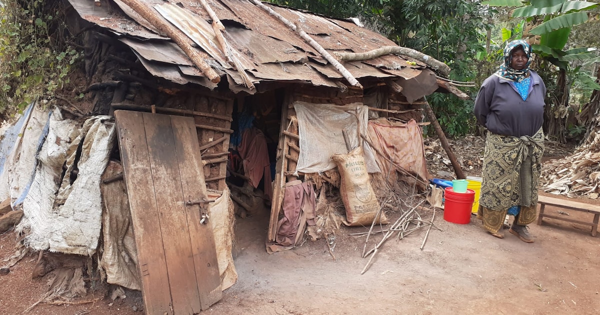 luuk-23-gaat-huizen-bouwen-in-tanzania-zes-afrikaanse-gezinnen-aan