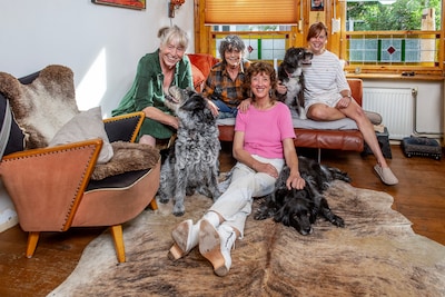 Ondanks ‘stomende seks’ moest Brigitte op zoek naar andere verwekker voor de hondenfamilie, maar die ‘wist niet hoe het moest’