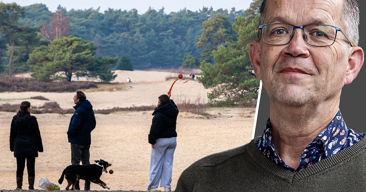 Hoelang kunnen de Soesterduinen het nog volhouden? Praat mee over nut of bedreiging van loslopende h