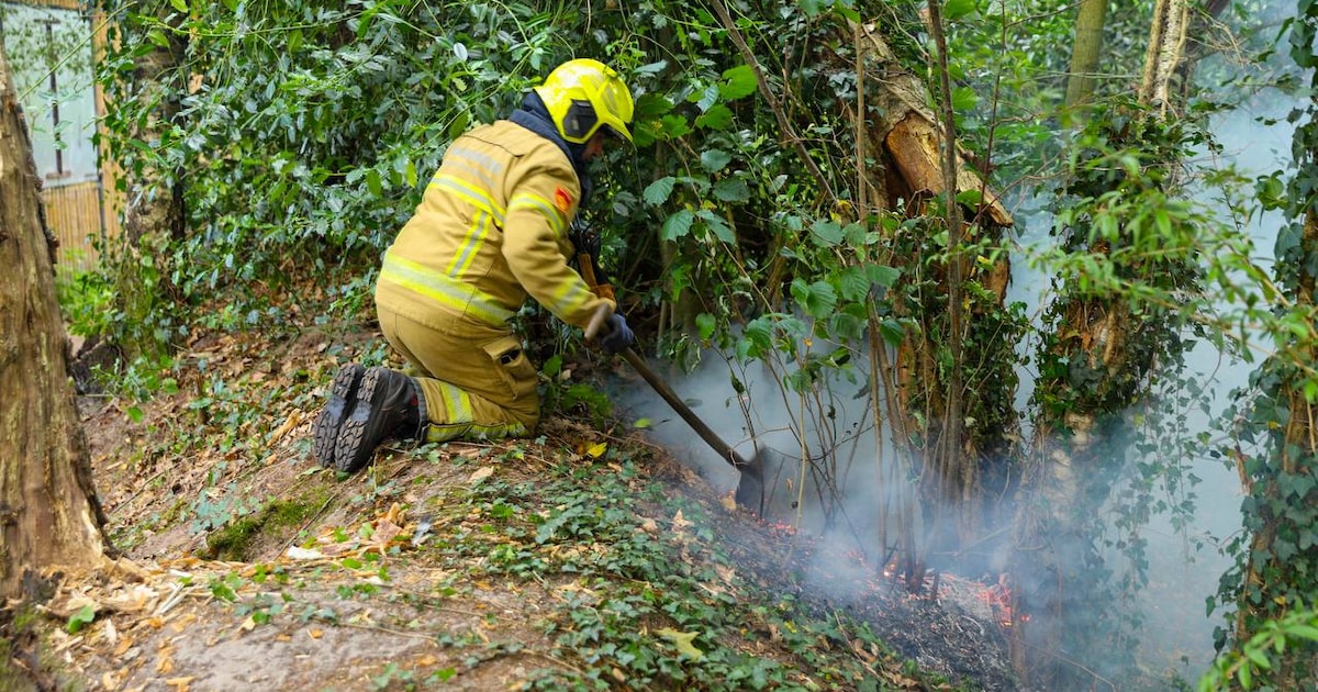 Brandweer blust brand in bosgebied bij scouting in Apeldoorn