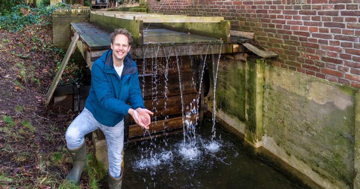 de-sprengenbeken-in-het-renkums-beekdal-voeren-weer-water-voor-het