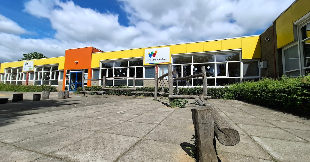 Scholen in Doesburg krijgen geld voor groen en dit doen ze ermee