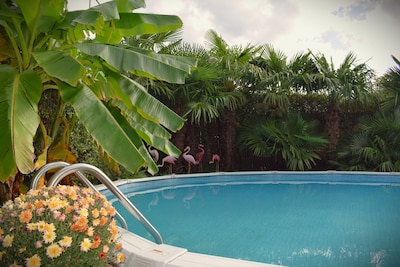 Plons! 3 x Arnhemse koophuizen met een zwembad in de tuin
