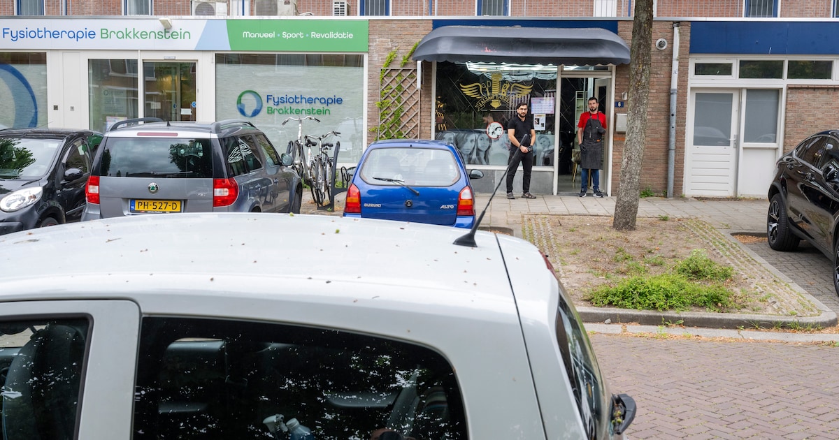 Definitief betaald parkeren in Brakkenstein: geen blauwe zone, maar ...