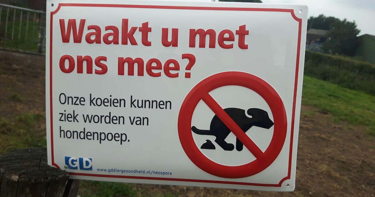 Ziek van een drol in een weiland