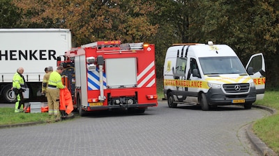 Reiger zit vast tussen het riet in Oss, brandweer moet het water in