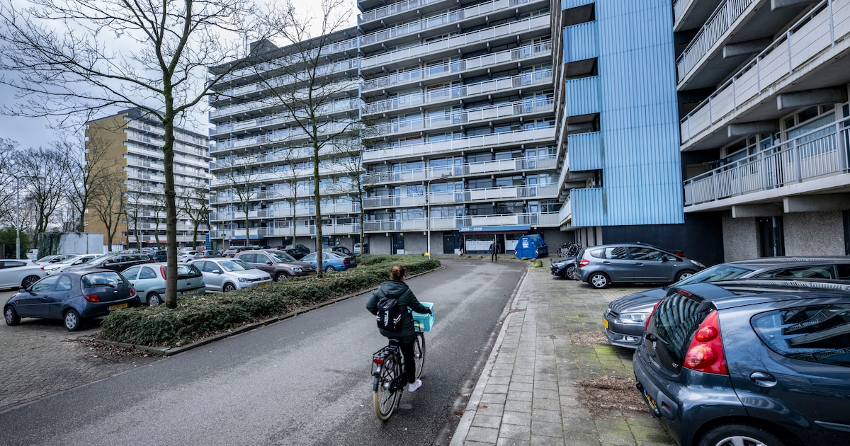 Is er parkeeroverlast rond winkelcentrum Dukenburg? ‘Er is hier voldoende plaats’