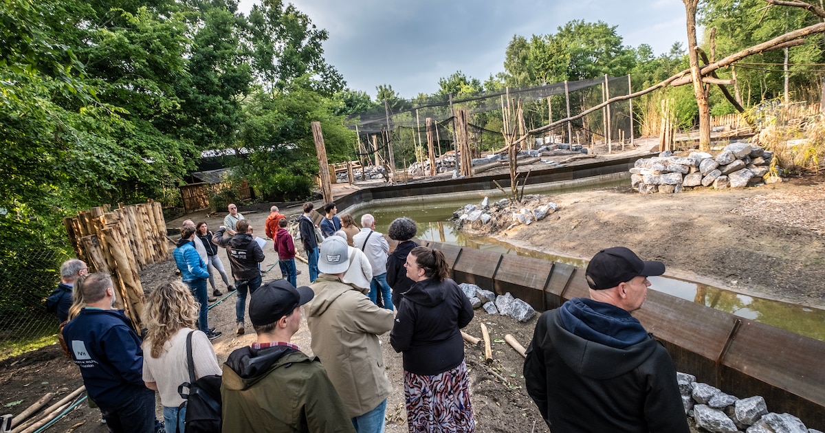 Deze dierentuin was tien jaar geleden nog failliet, maar trekt nu een recordaantal bezoekers