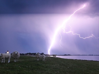 LIVE | Noodweer trekt over het land: code oranje in acht provincies, bliksem slaat in op meerdere woningen