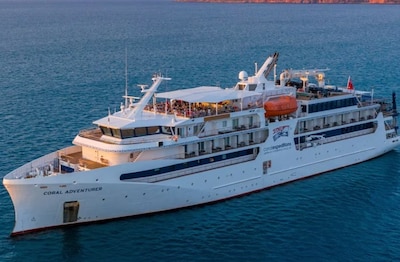 Eerst stierf een moeder nadat ze werd achtergelaten op een eiland, nu loopt luxecruise vast op rif