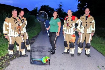 Bijzondere reddingsactie: brandweer haalt ontsnapt