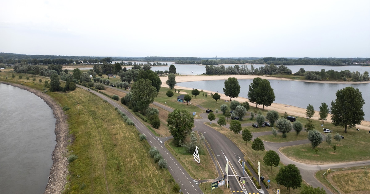 Veiligere fietspaden en een groene entree: dit zijn de vijf belangrijkste plannen voor Rhederlaag