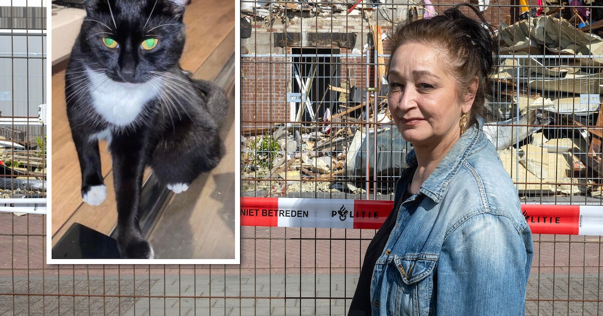 Na verwoestende brand is leven een rollercoaster voor Ilze en haar zoons: ‘Ik wil mijn Gato terug’