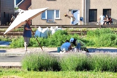 Volop lof voor man met parasol bij busdrama België: ‘Je doet wat nodig is’