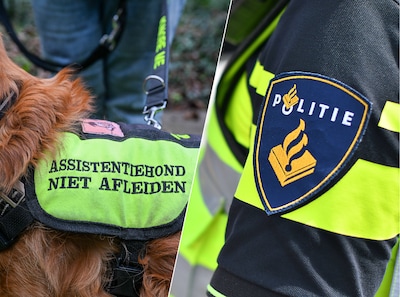 Collega’s van agent droomden van politiewerk, maar zijn nu aangewezen op hulphond: ‘Dat raakt me’
