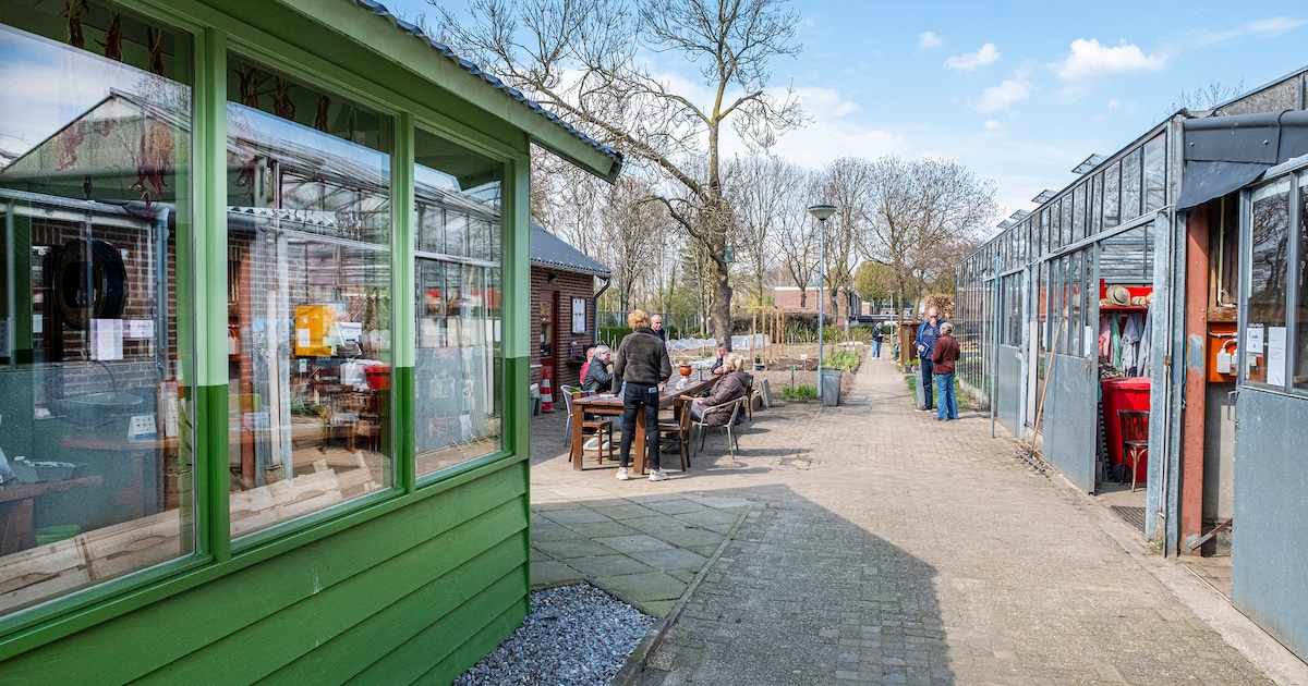 Studenten houden ontmoetingsavonden voor jongvolwassenen in Cuijk
