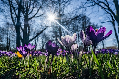 Het wordt een zonovergoten week met temperaturen tot 19 graden, maar ‘s nachts wordt het ijskoud