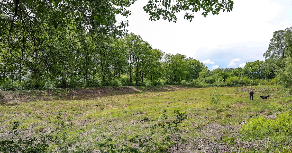 Na 4 jaar wachten op 500 woningen voor spoedzoekers op deze plek is Apeldoorn het beu