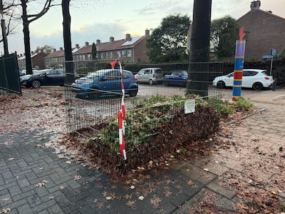 Opgeruimd staat netjes: hier in Veenendaal staan bladkorven