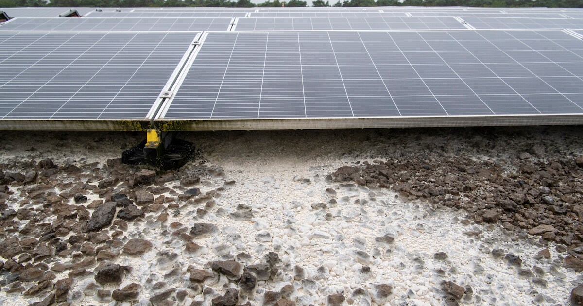Twist over 15.570 zonnepanelen op stort vol staalslakken: wie betaalt de rekening van 1,5 miljoen?