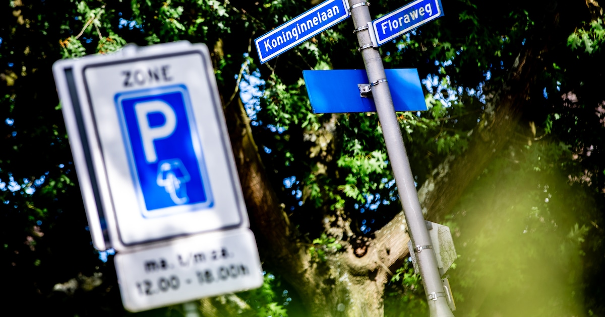 Betaald parkeren in aantocht? Bewoners moeten er veel beter en eerder informatie over krijgen