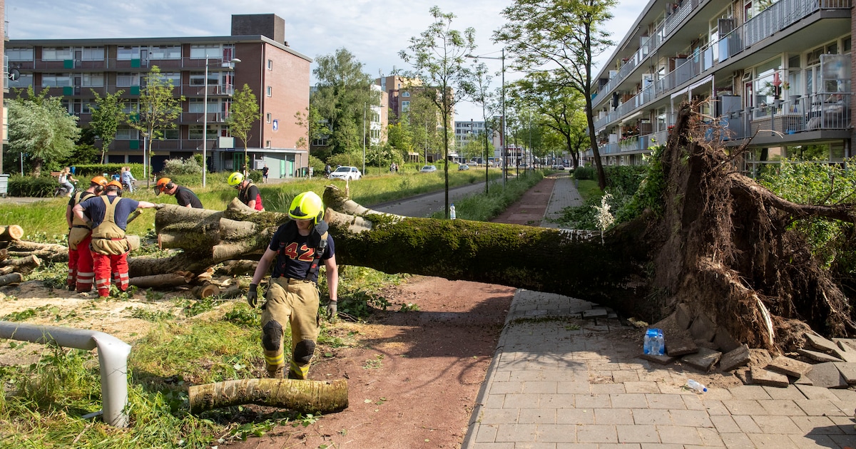 Minder schade in Oost Gelre door noodweer vorig jaar