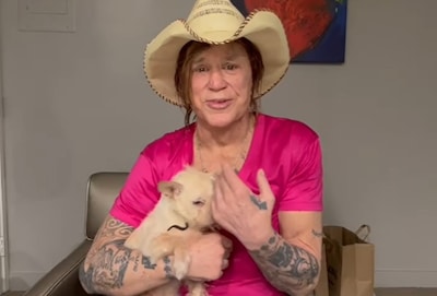 Hoe Mickey Rourke (73) aan lager wal raakt maar hulp weigert: ‘Ik steek eerder een pistool in mijn reet’