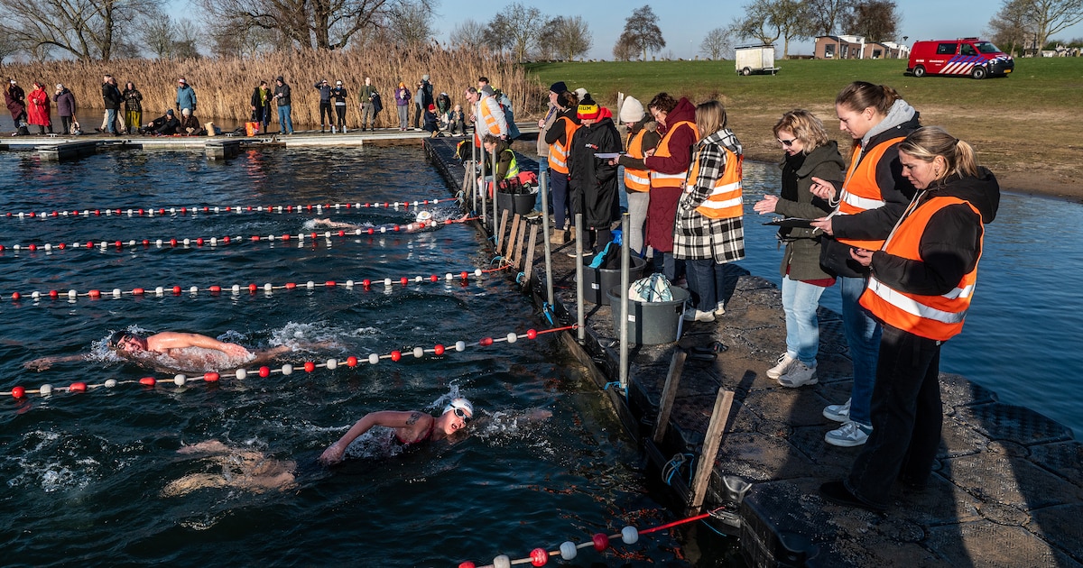 Koude kick in Maurik bij de eerste editie van Rijn Ice Swim